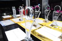 Лучшая туристическая компания Украины сезона весна-лето 2011 - Travel Professional Awards 