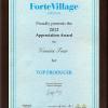 Награда "ForteVillage" 2012